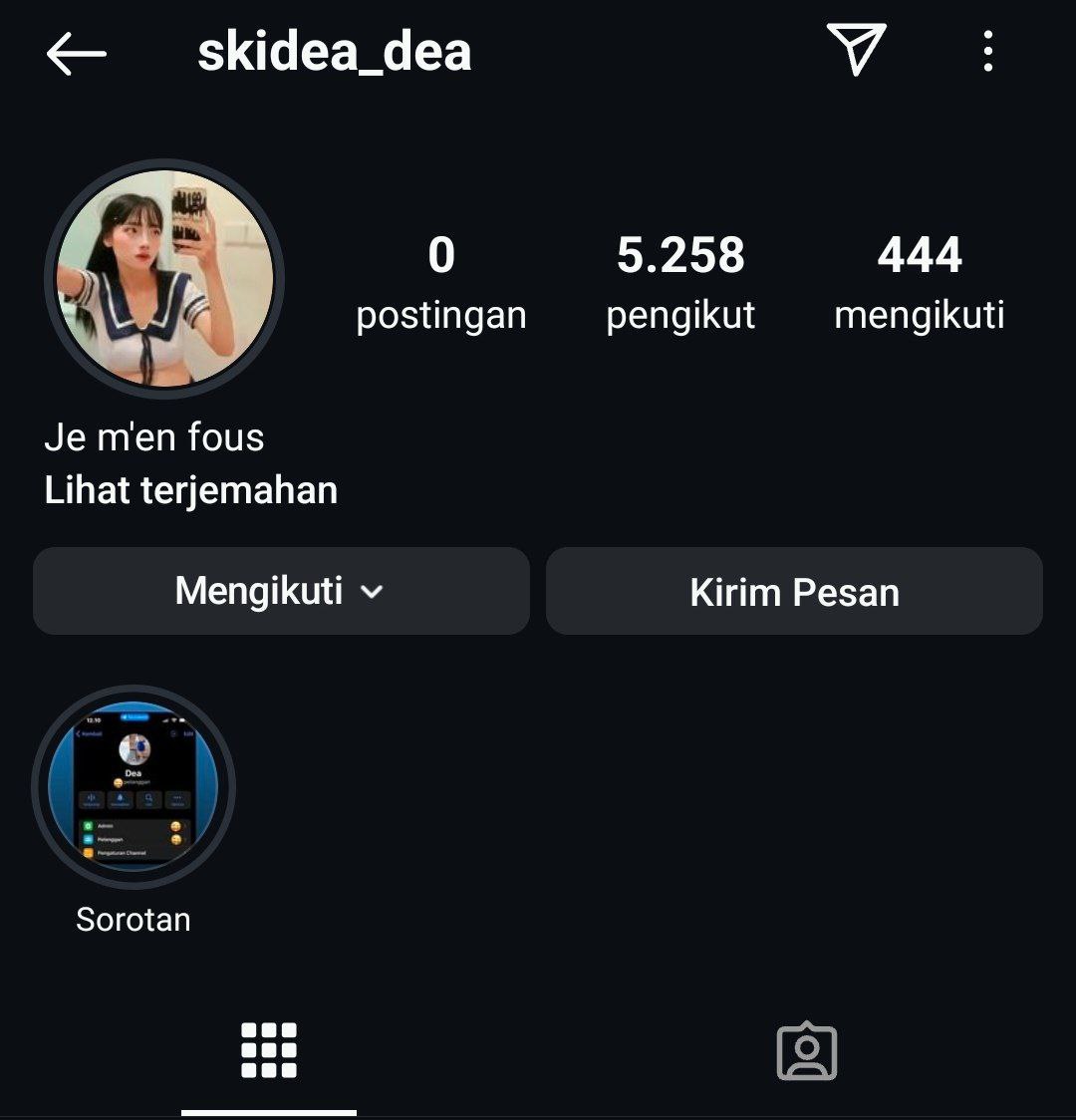 SKIDEA