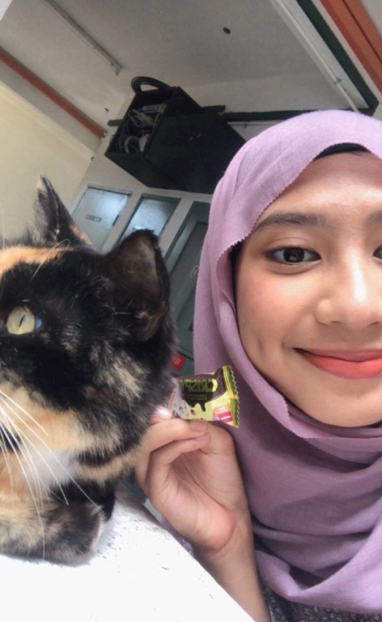RANI AWEK SKOLA