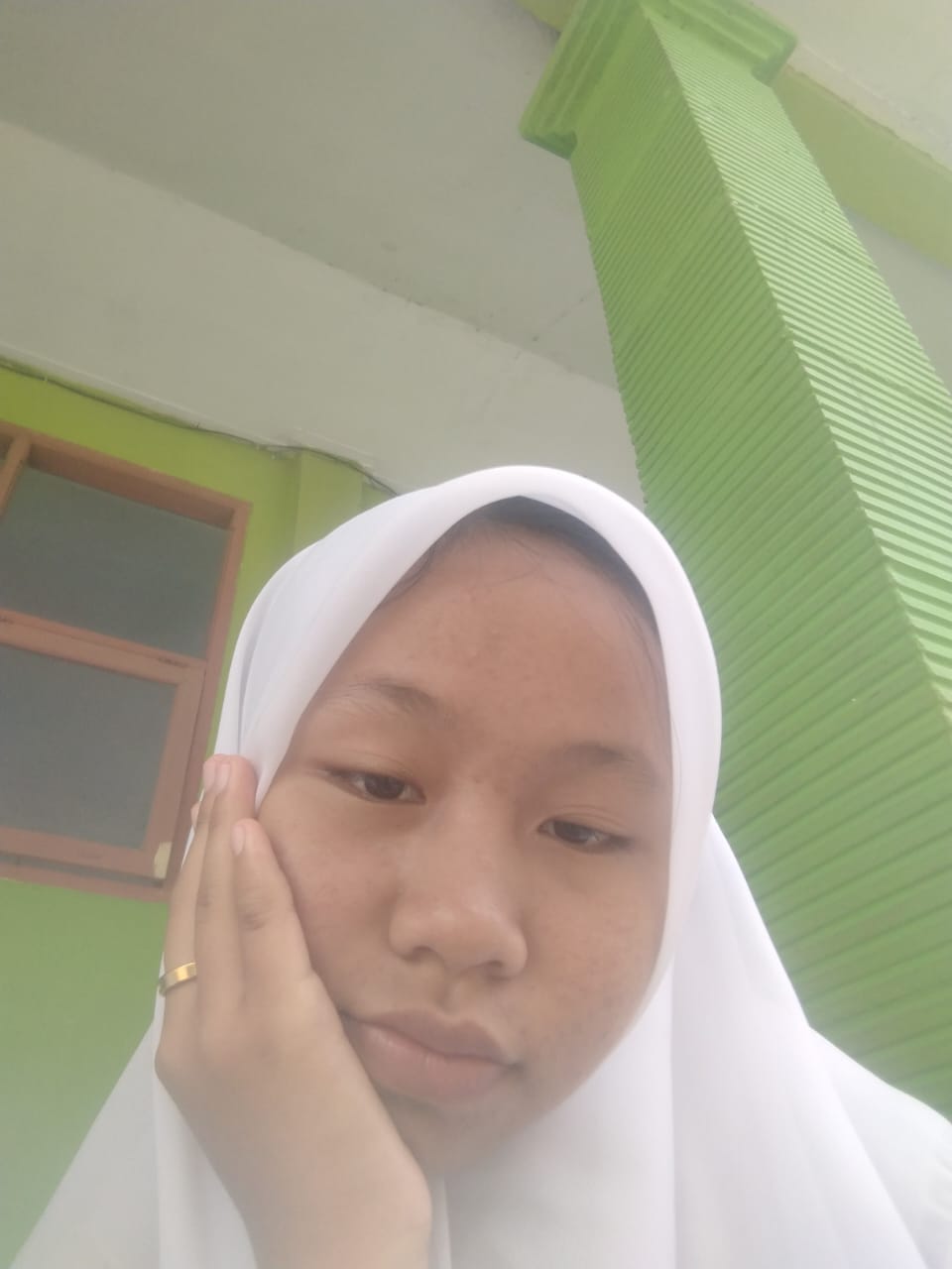 RISA